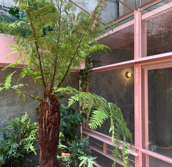 스탠다드 룸 킹사이즈 침대, Xolo Stays