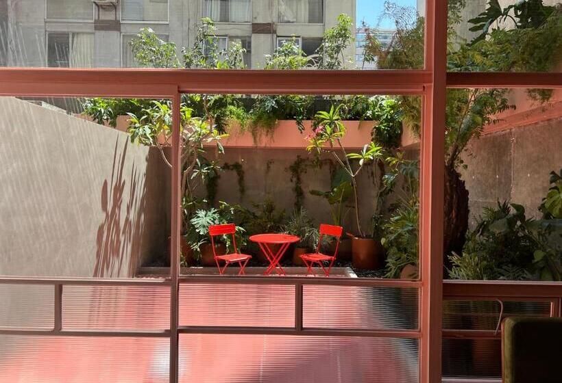 스탠다드 룸 킹사이즈 침대, Xolo Stays