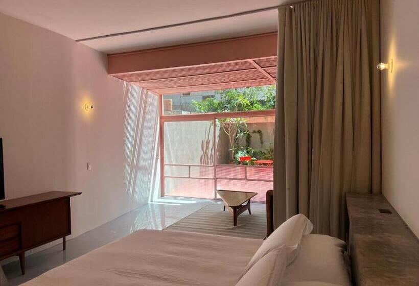 스탠다드 룸 킹사이즈 침대, Xolo Stays