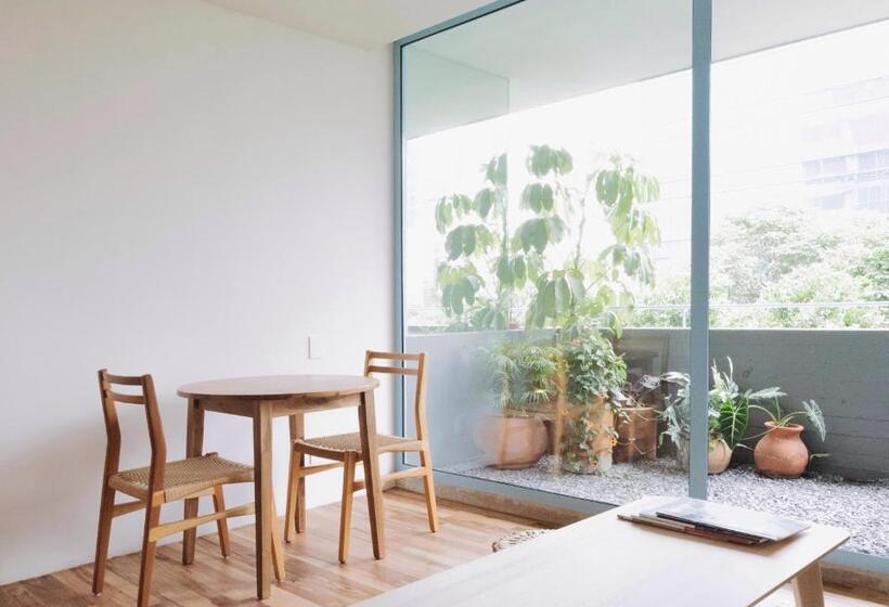 디럭스 스튜디오, Xolo Stays