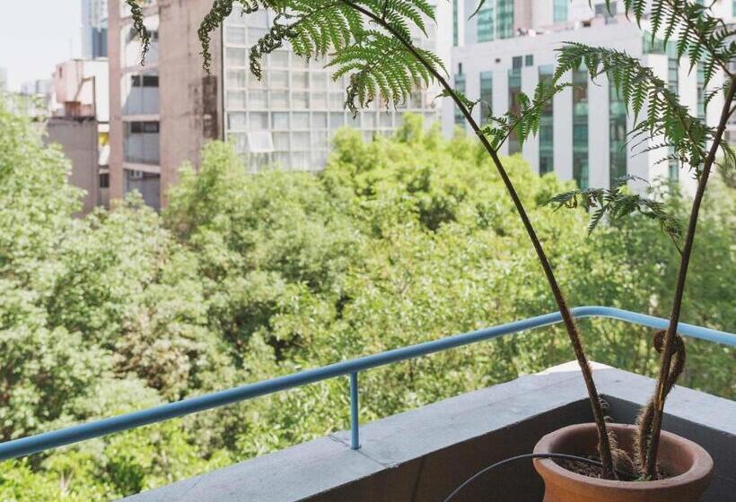 디럭스 스튜디오, Xolo Stays