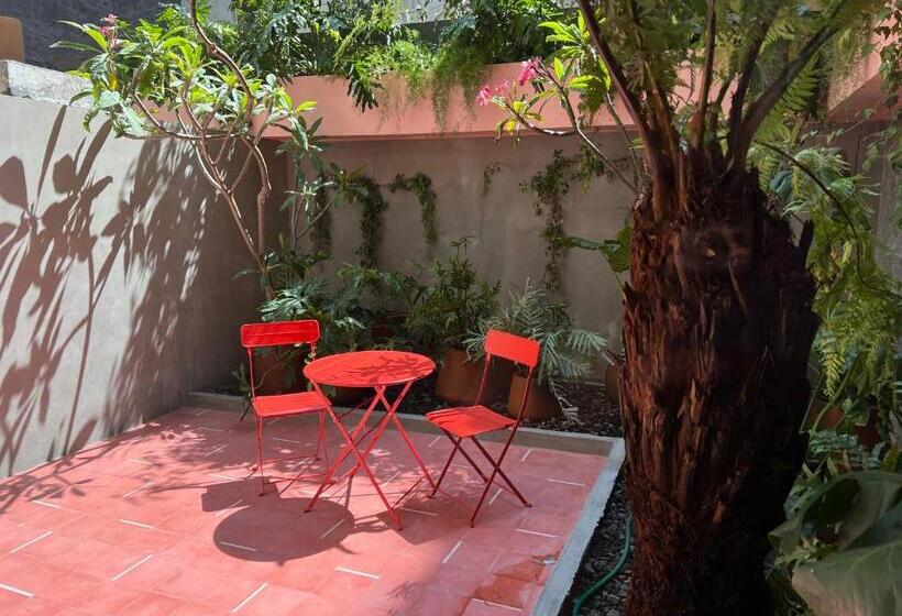 스탠다드 룸 킹사이즈 침대, Xolo Stays