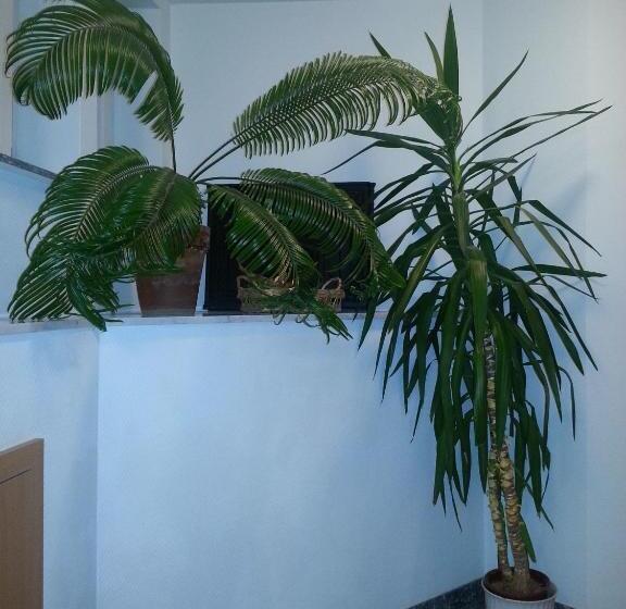 스탠다드 싱글 룸, Am Schloß