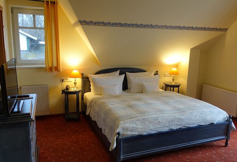 غرفة قياسية, Kurhaus Devin