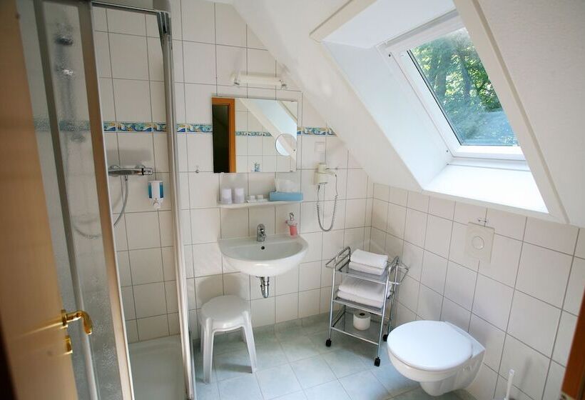 غرفة قياسية, Kurhaus Devin