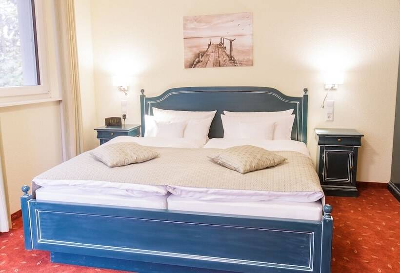 غرفة قياسية بلس, Kurhaus Devin