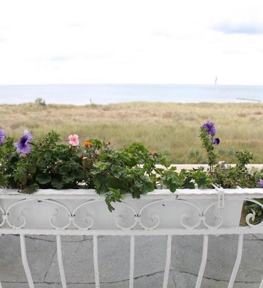 スタンダードルーム, Stolteraa