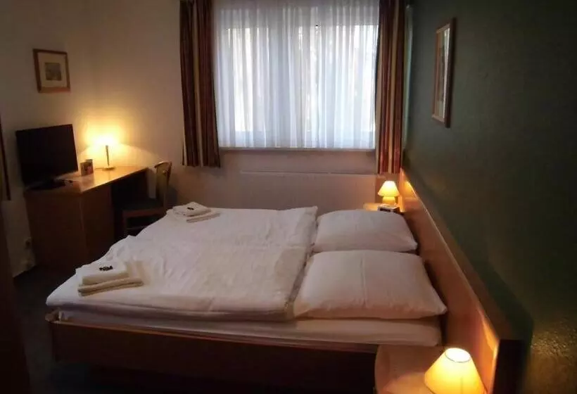 Standard Room, Waldrestaurant &