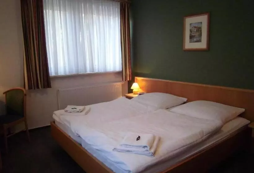 Standard Room, Waldrestaurant &