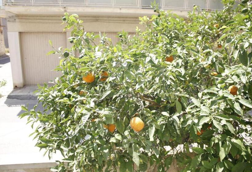 标准三人间, House Of The Rising Sun