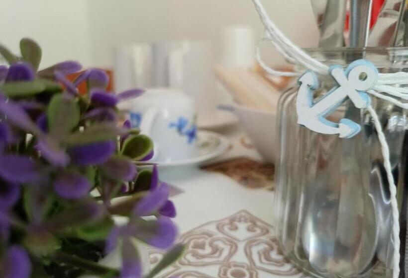 标准间, House Of The Rising Sun