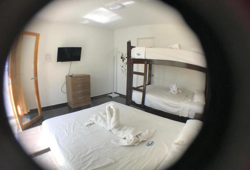 4인용 스탠다드 룸, Casa Villamor