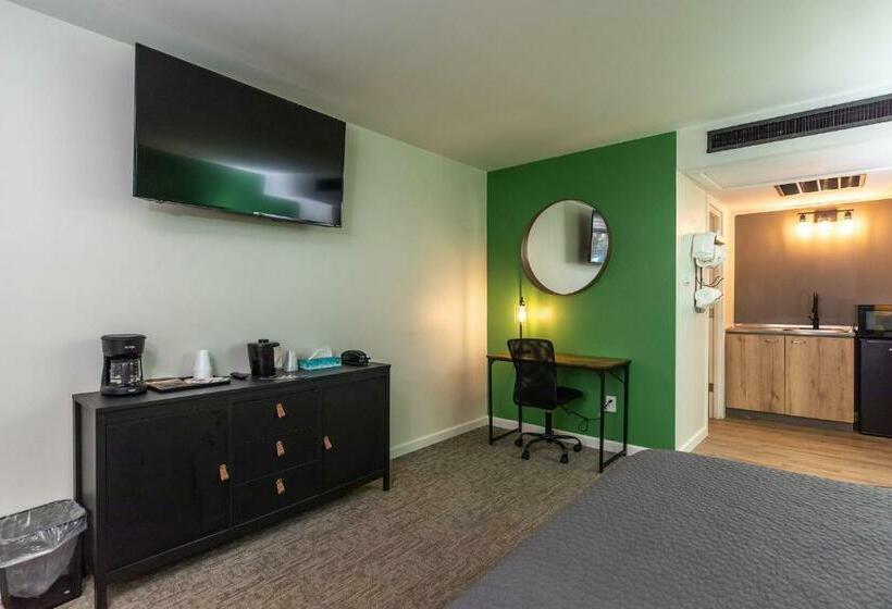 带大床的标准间, Modern Motel