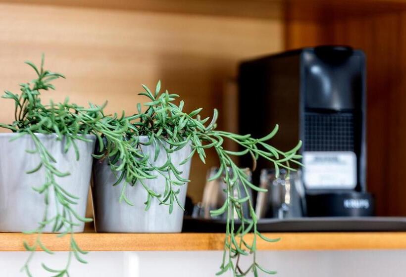 스탠다드 스튜디오, Vila Farol