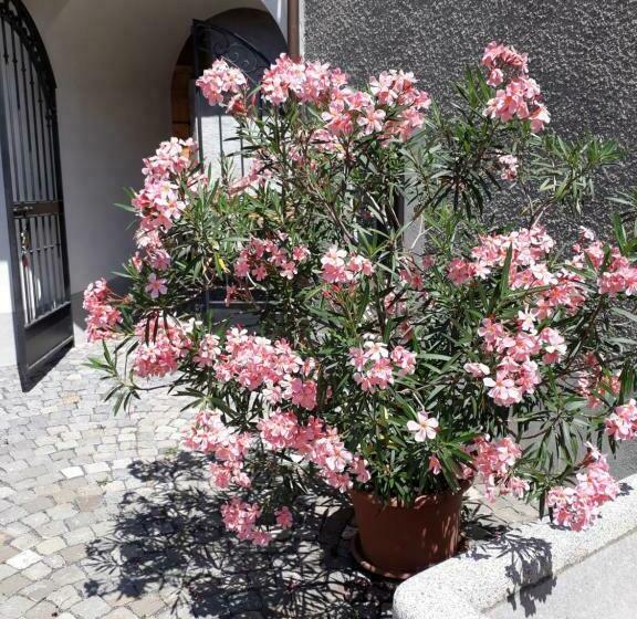 Номер Стандарт, Aux Trois Soleils