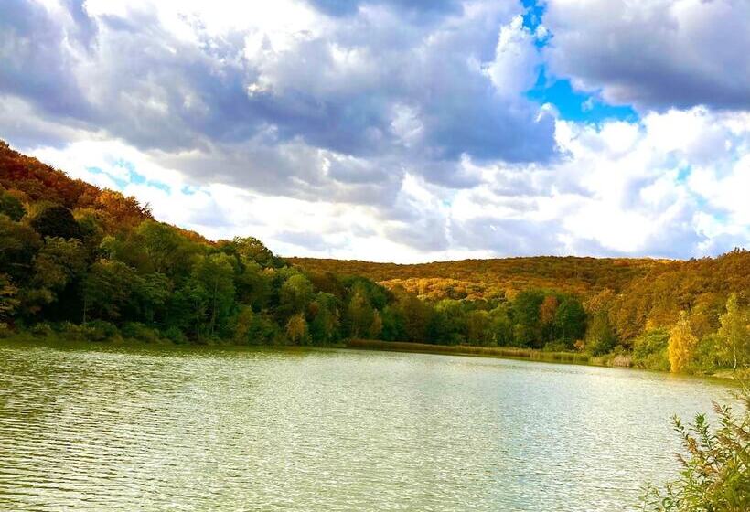 בונגלו משפחתי, Dubky