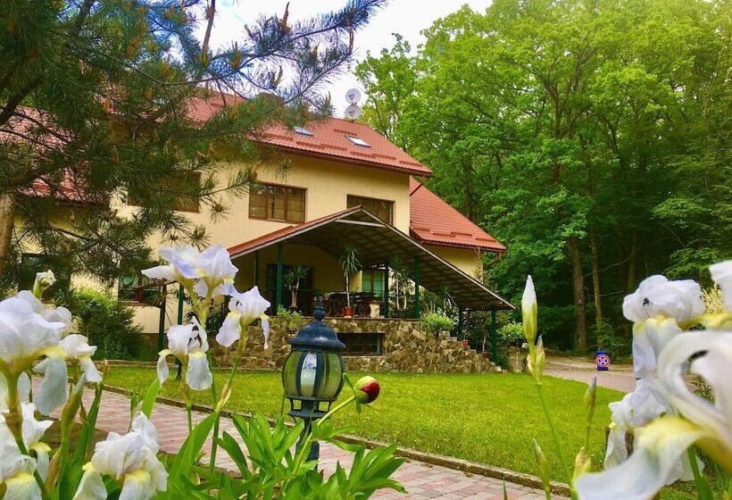 חדר סטנדרט לארבעה, Dubky