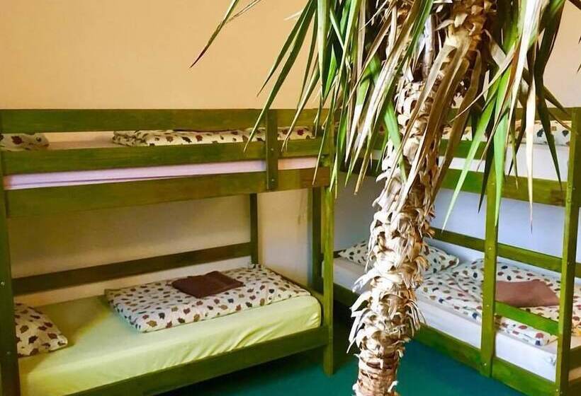 חדר סטנדרט לארבעה, Dubky