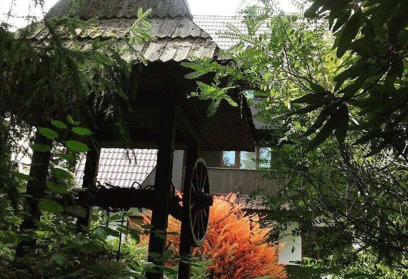 חדר סטנדרט נוף לאגם, Dubky