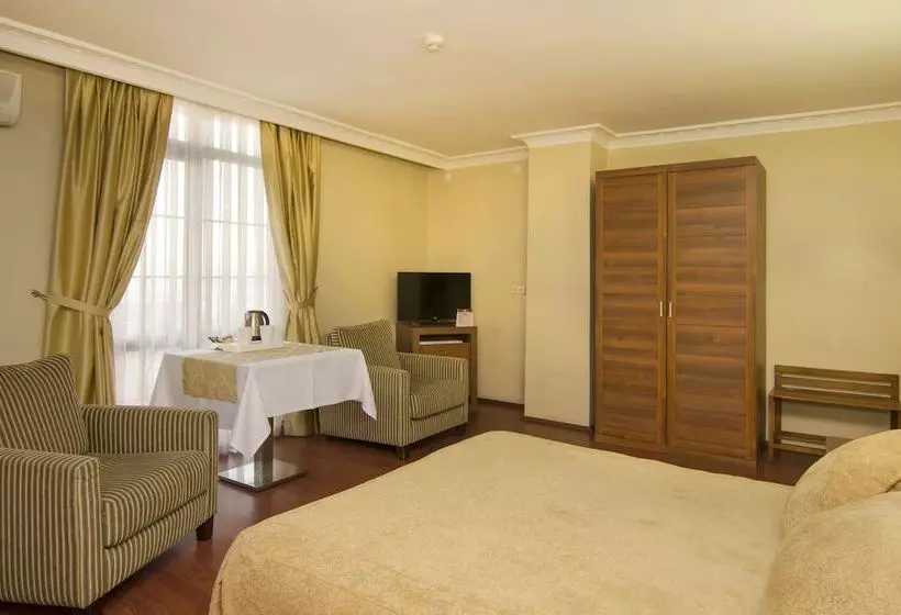 Standard-huone, Grand Gebze