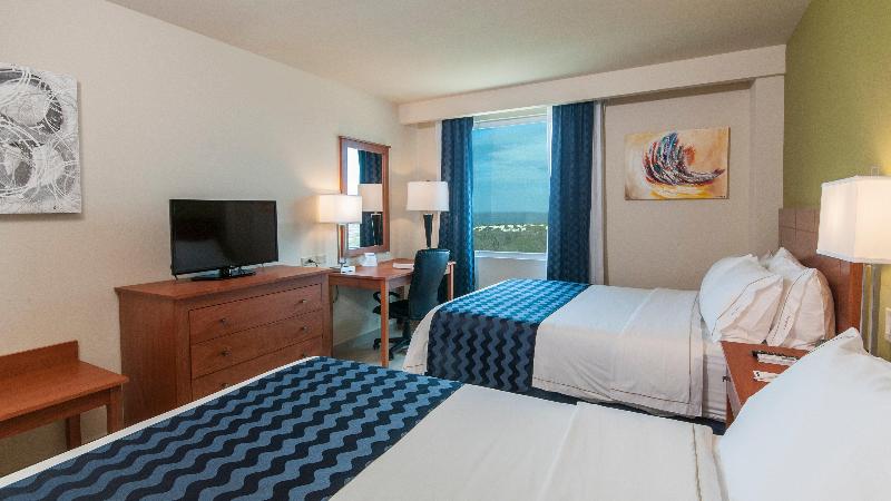 オーシャンビュースタンダードルーム, Holiday Inn Express Cabo San Lucas, An Ihg