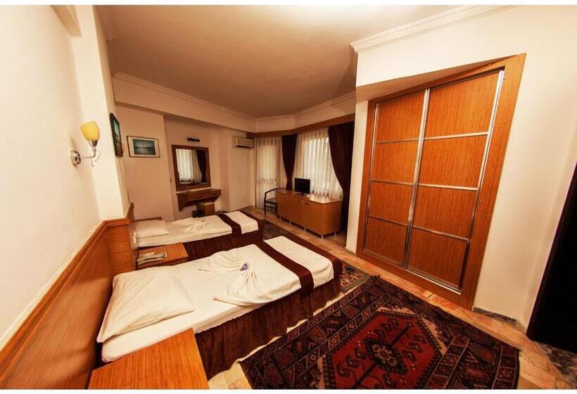 غرفة قياسية, Panorama Plaza