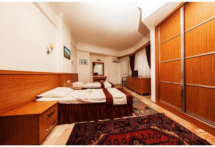 غرفة قياسية, Panorama Plaza