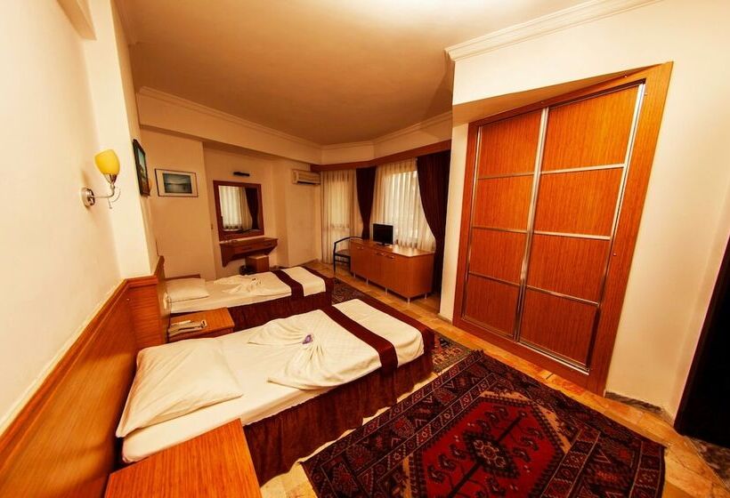 غرفة قياسية, Panorama Plaza