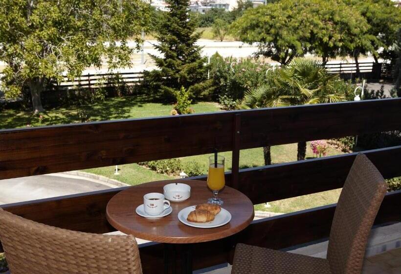 غرفة قياسية فردية, Rodopi