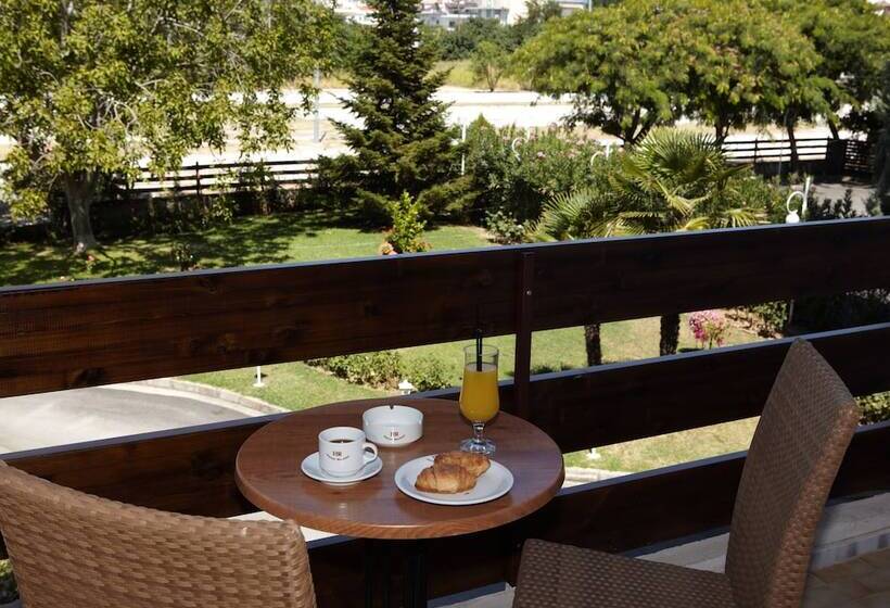 غرفة قياسية ثلاثية, Rodopi