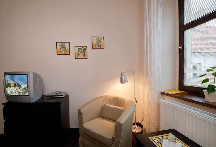 스탠다드 룸, U Zlateho Byka