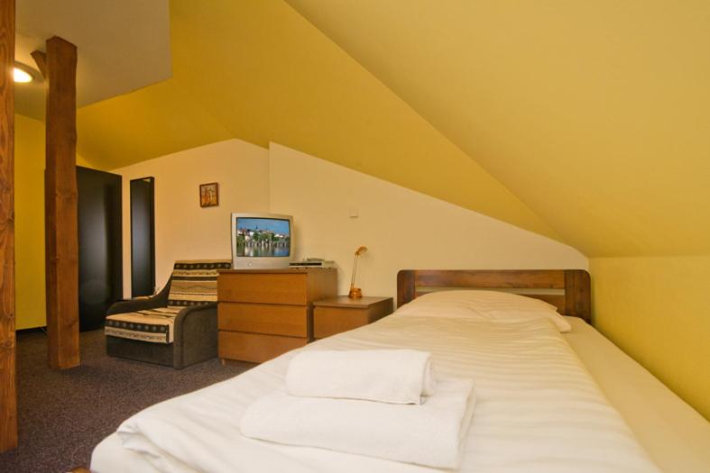 스탠다드 싱글 룸, U Zlateho Byka