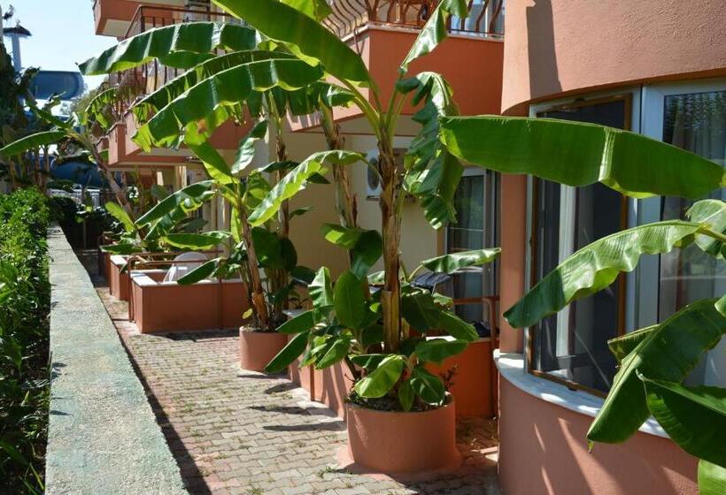 标准房带园景, Yavuzhan