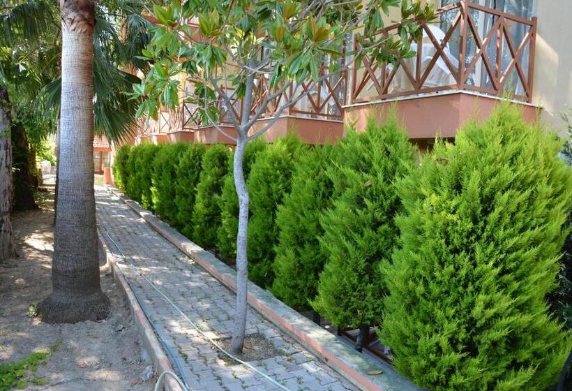 标准房带园景, Yavuzhan