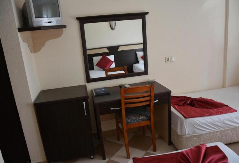 标准房带园景, Yavuzhan