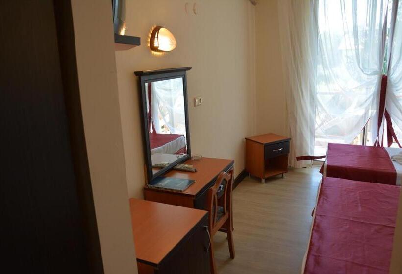 标准房带园景, Yavuzhan