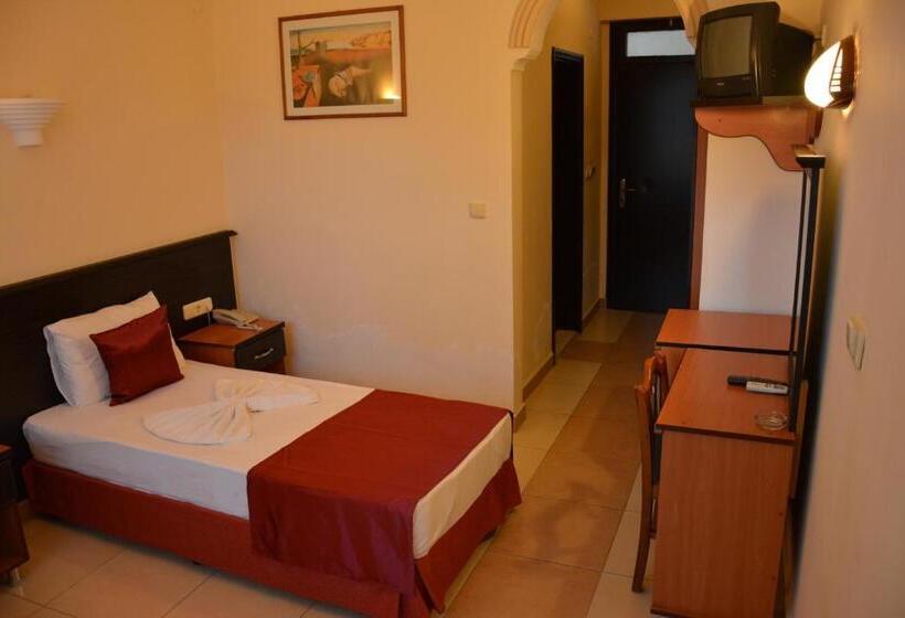 标准房带园景, Yavuzhan