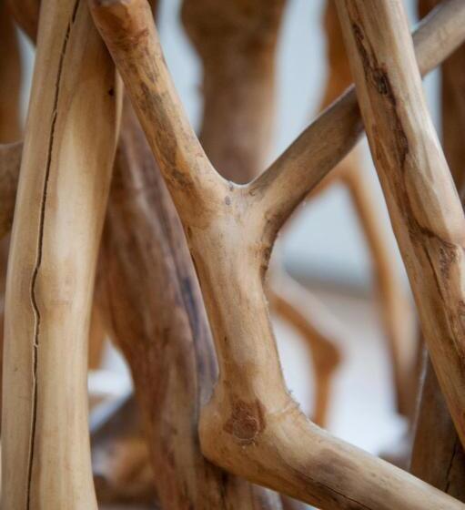 חדר קומפורט, Bed En Brood   Veere