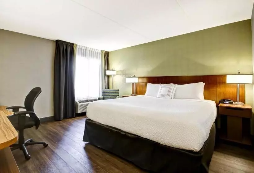 キングサイズベッドのスタンダードルーム, Fairfield Inn & Suites By Marriott Guelph