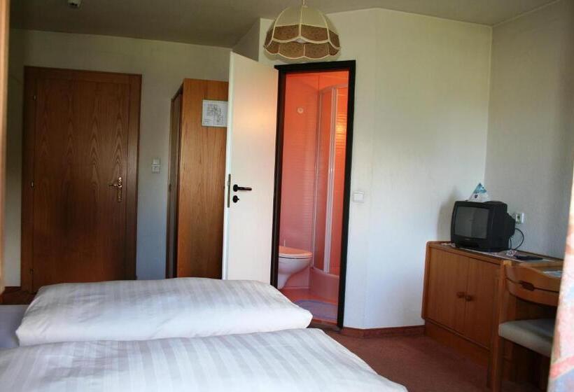 스탠다드 룸, Gasthof Schweizerhaus