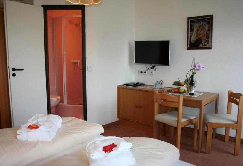 스탠다드 싱글 룸, Gasthof Schweizerhaus