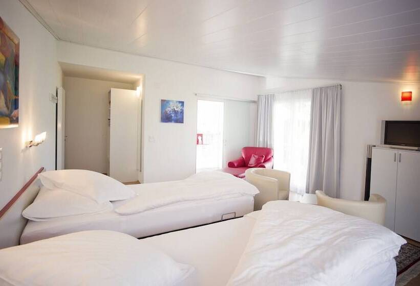 Superior Room, Hohberg  Next To Bbc Arena