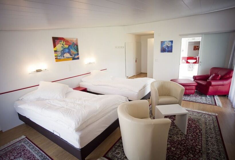 Superior Room, Hohberg  Next To Bbc Arena