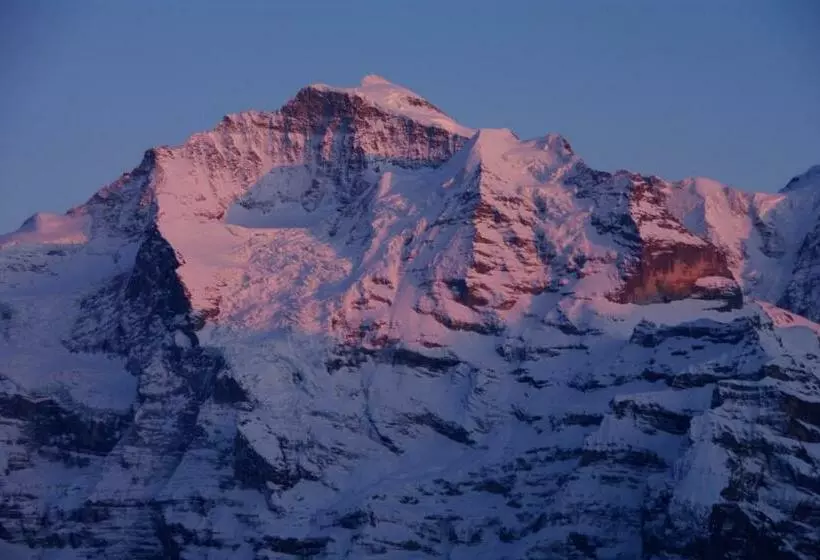バルコニー付き１ベッドルームアパートメント, Restaurant Jungfrau