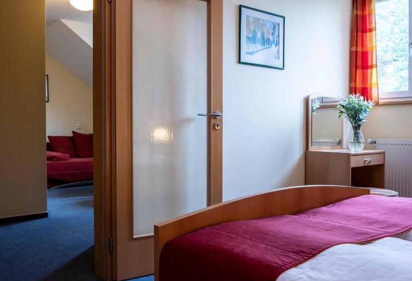 スタンダードルーム, Pavilon