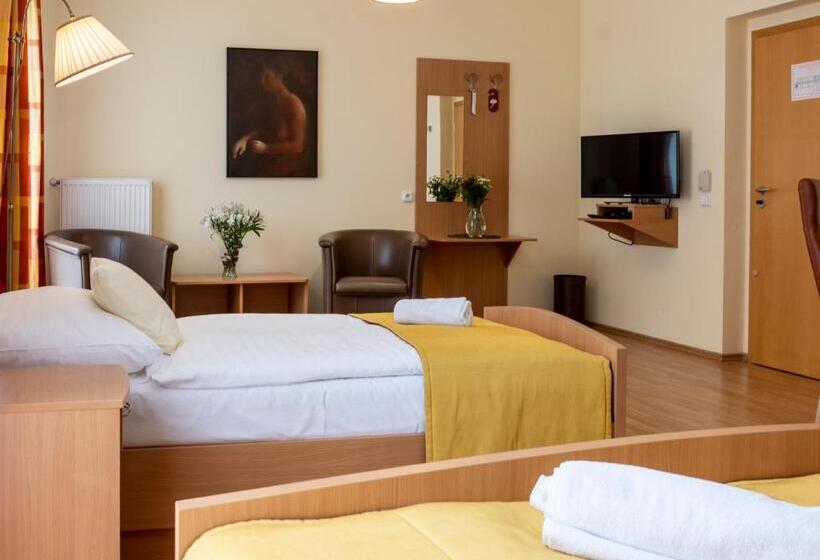 Номер Стандарт, Pavilon