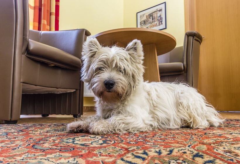 スタンダードシングルルーム, Pavilon