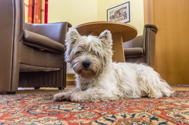 スタンダードシングルルーム, Pavilon