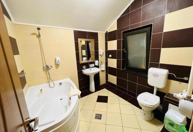 スタンダードルーム, Pensiunea Ianis Piatra Neamt