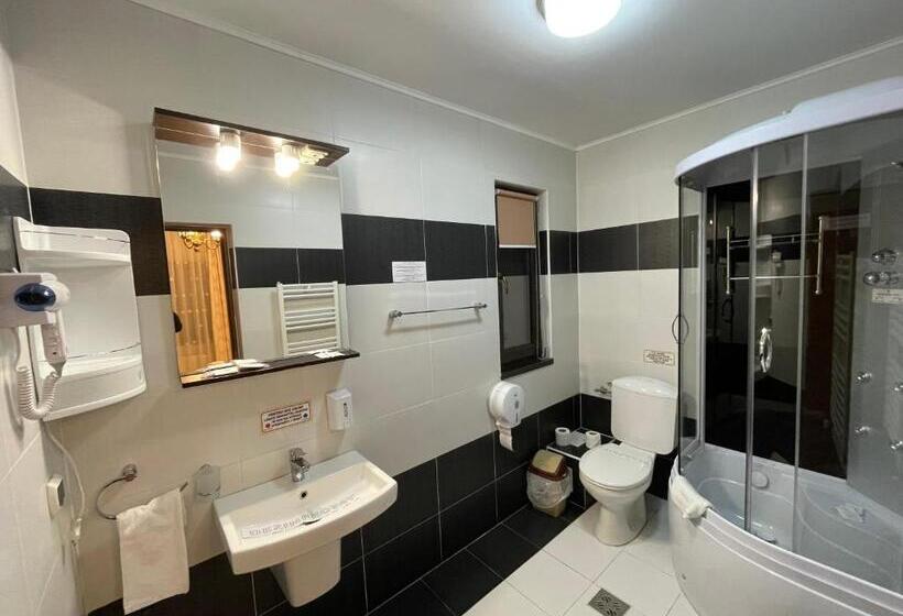 スタンダードルーム, Pensiunea Ianis Piatra Neamt